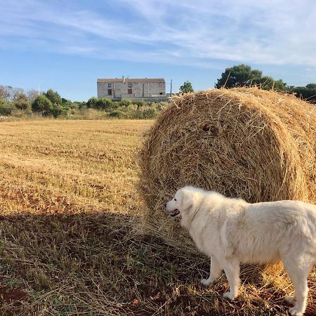 Agriturismo La Palascia Masseria Agreste Otranto Kültér fotó