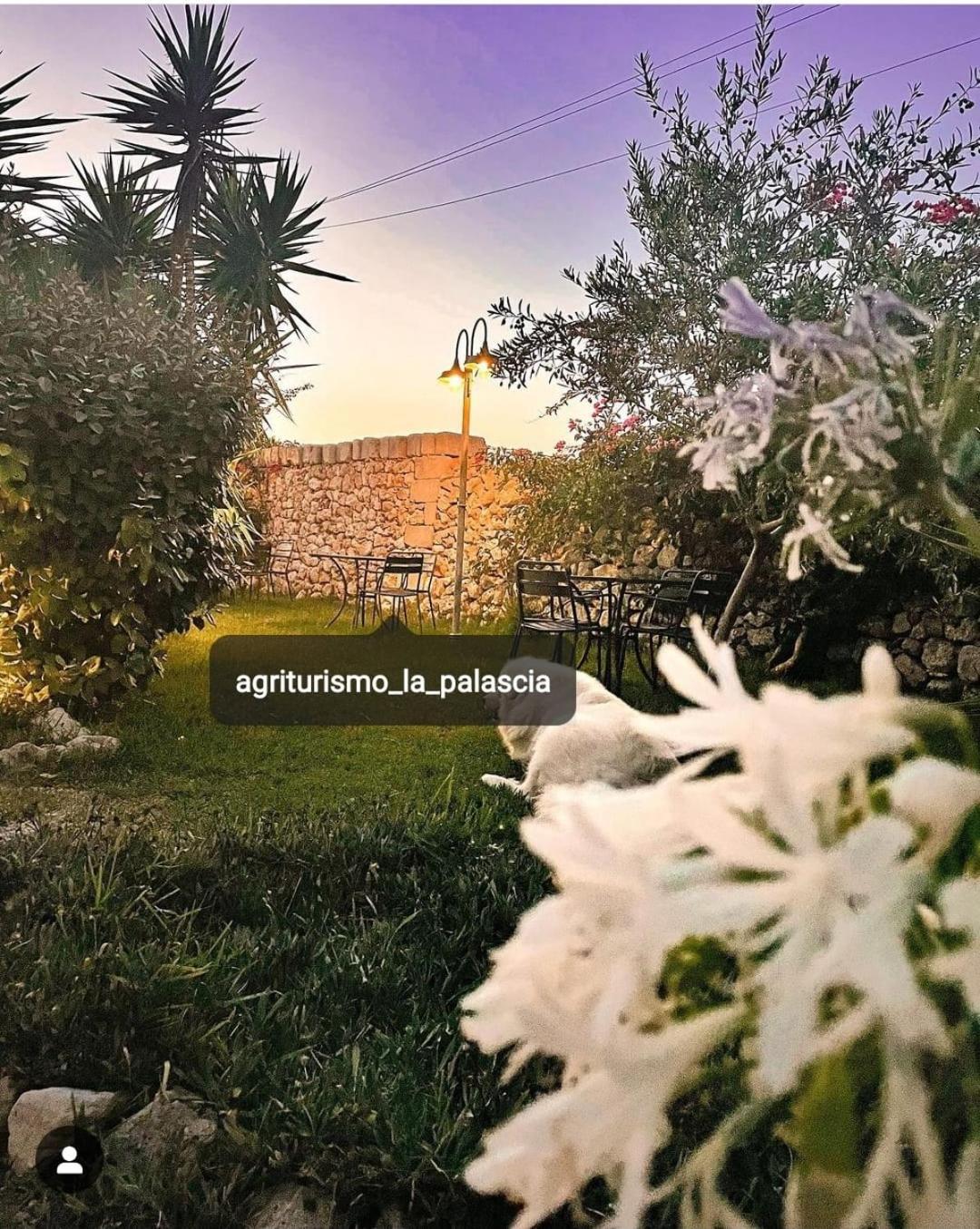 Agriturismo La Palascia Masseria Agreste Otranto Kültér fotó
