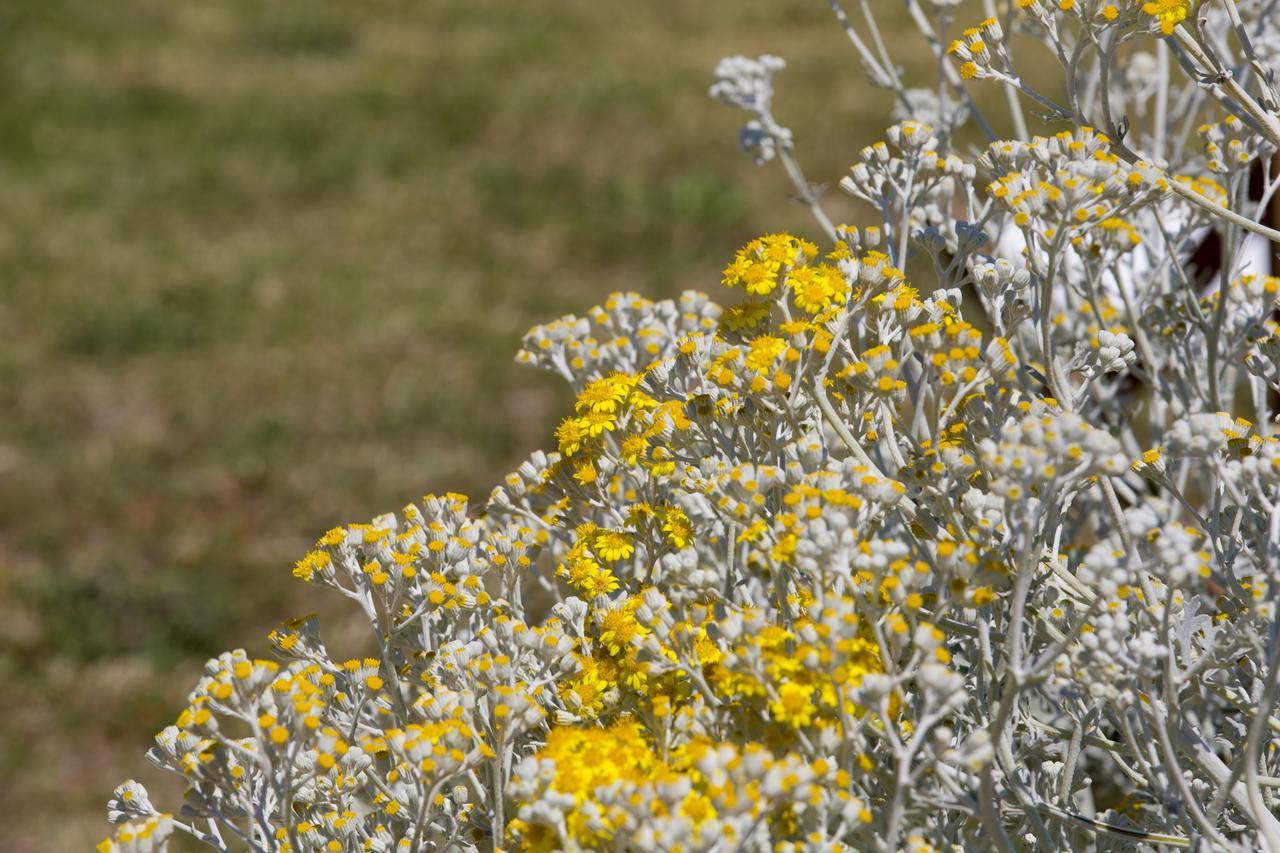 Agriturismo La Palascia Masseria Agreste Otranto Kültér fotó