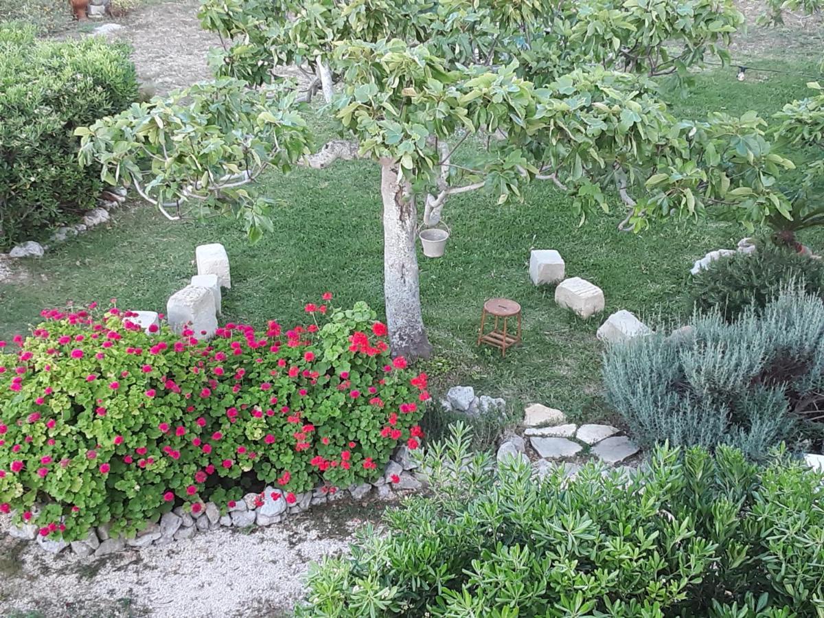 Agriturismo La Palascia Masseria Agreste Otranto Kültér fotó